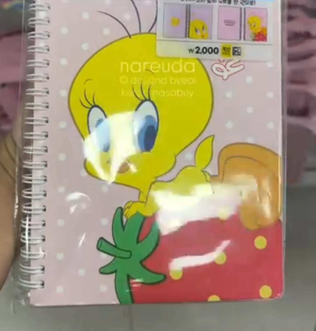 [DAISO] TWEETY BIRD Notebook Pink