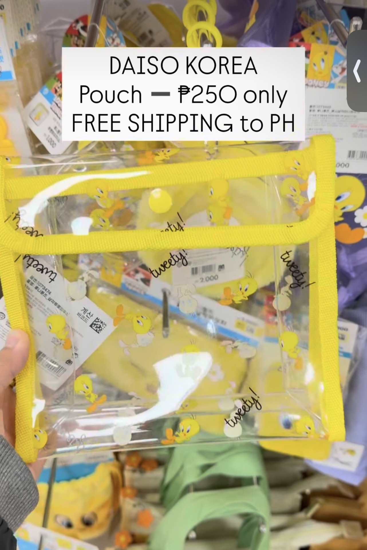 [DAISO] Tweety Bird Pouch