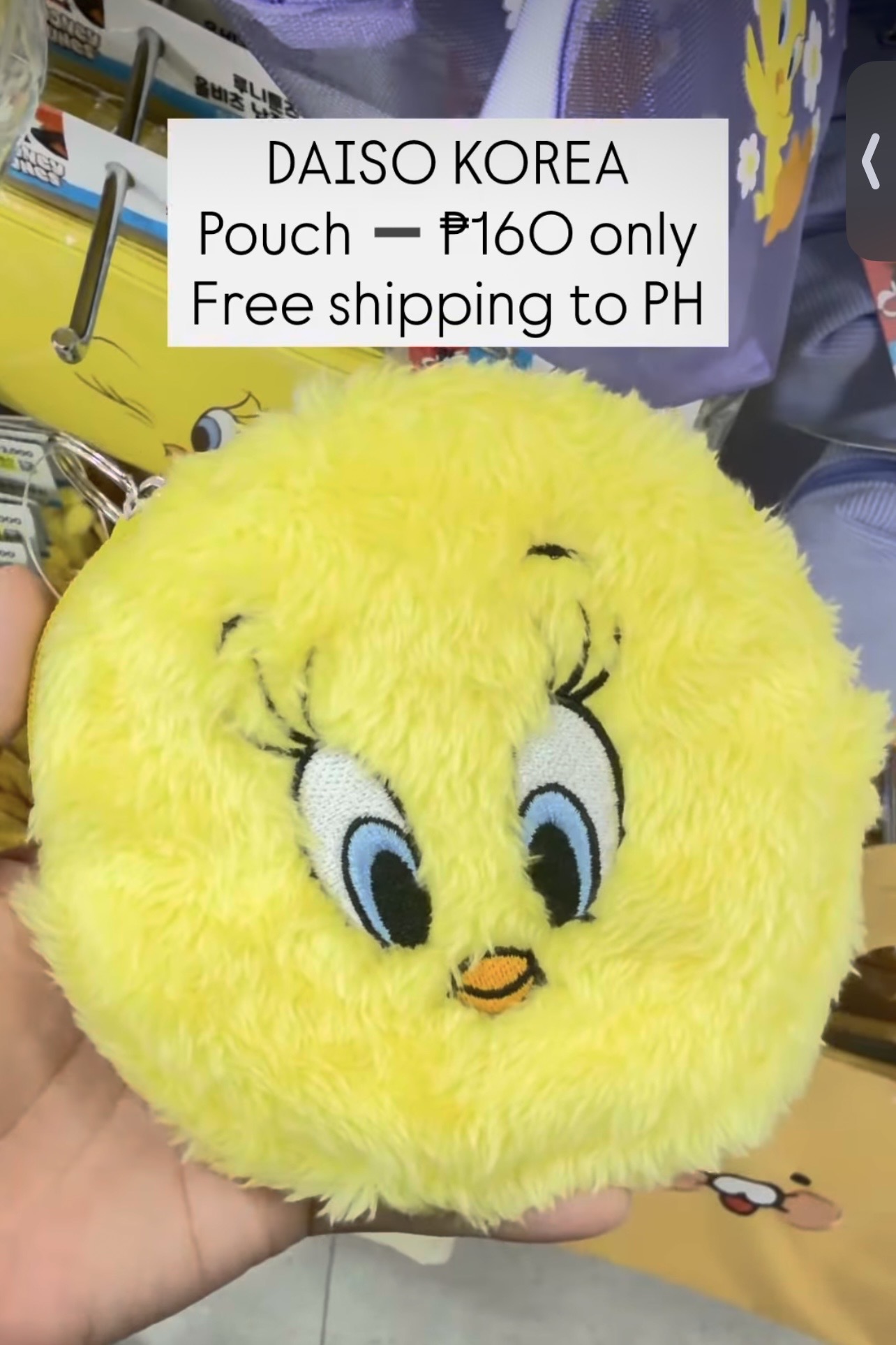 [DAISO] Tweety Bird Pouch