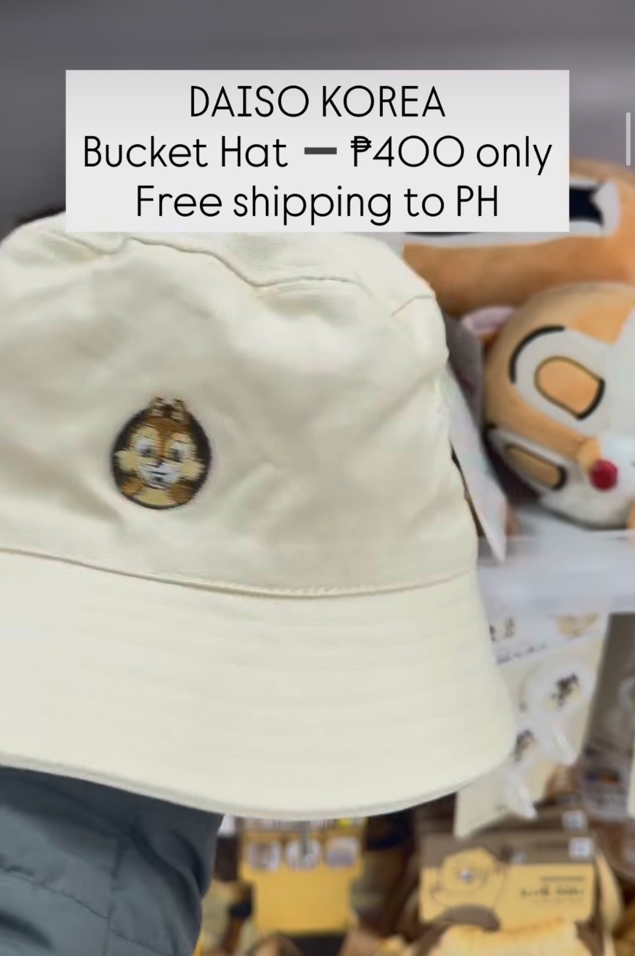 [DAISO] CHIP N DALE Bucket Hat (White)