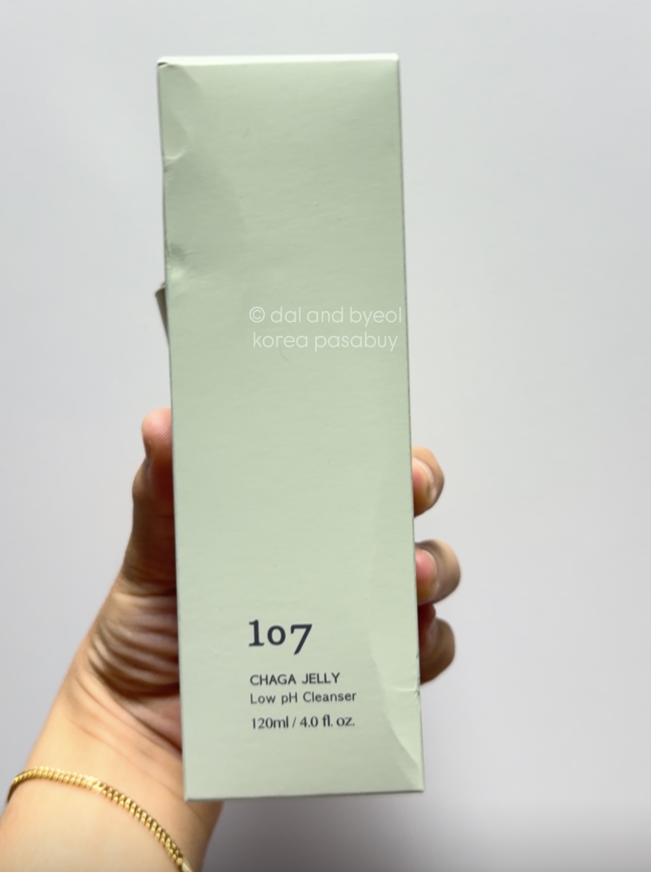 [CC] 107 Chaga Jelly Cleanser 120ml