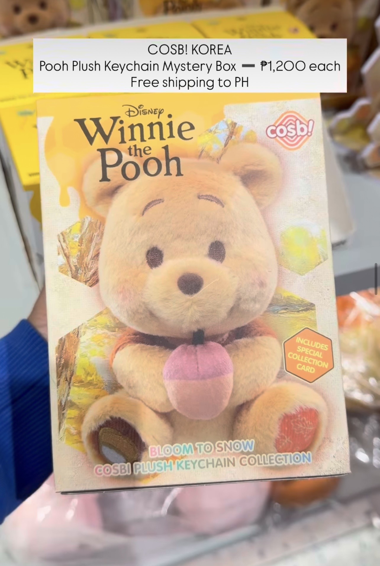 [COSB!] Pooh Plush Keychain Mystery Box